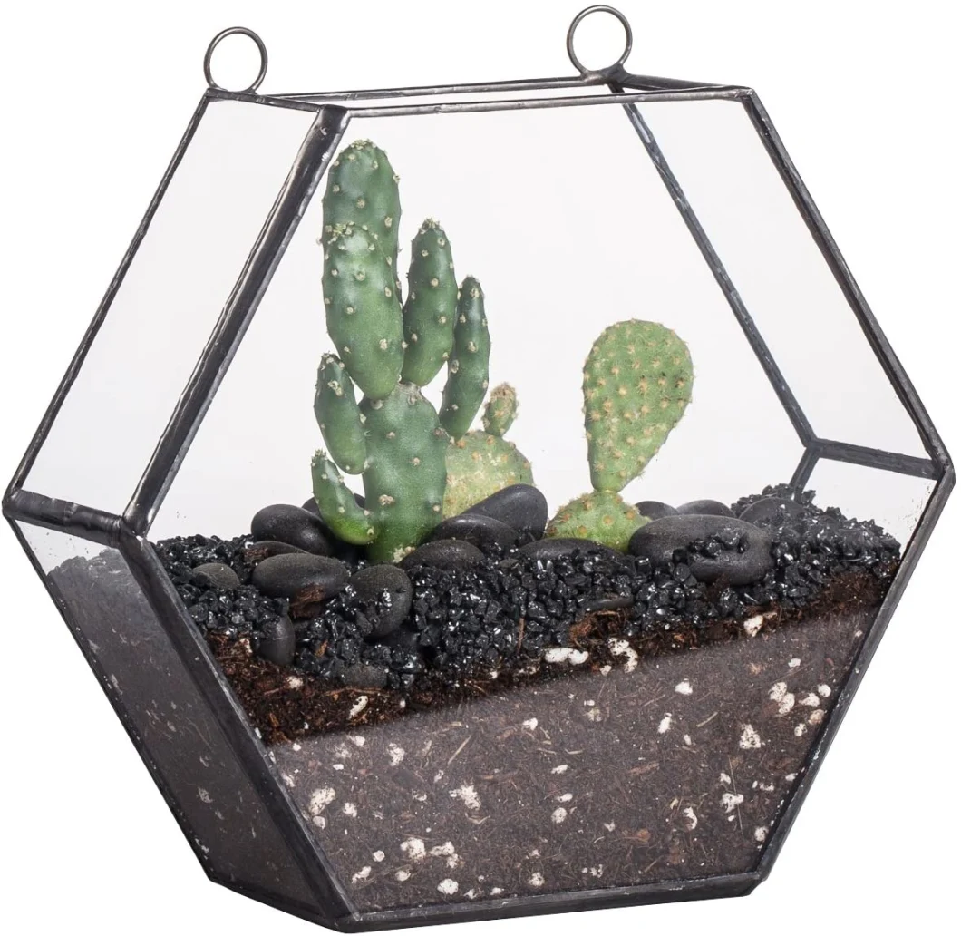 Succulent Plant Black Mounted Wall Hanging Glass Terrarium