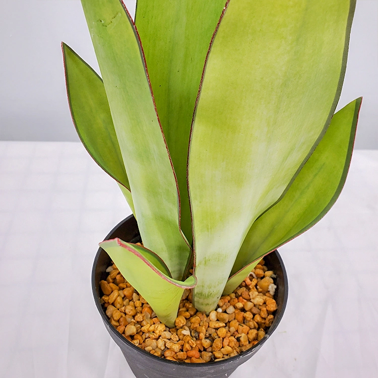 Chinese Lucky Plant Artificial Plant High Quality Snake Plant Plastic Plant