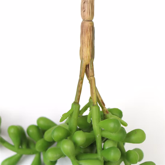 Nuevo estilo de moda, paisaje extraíble, plantas suculentas colgantes para decoración de pared